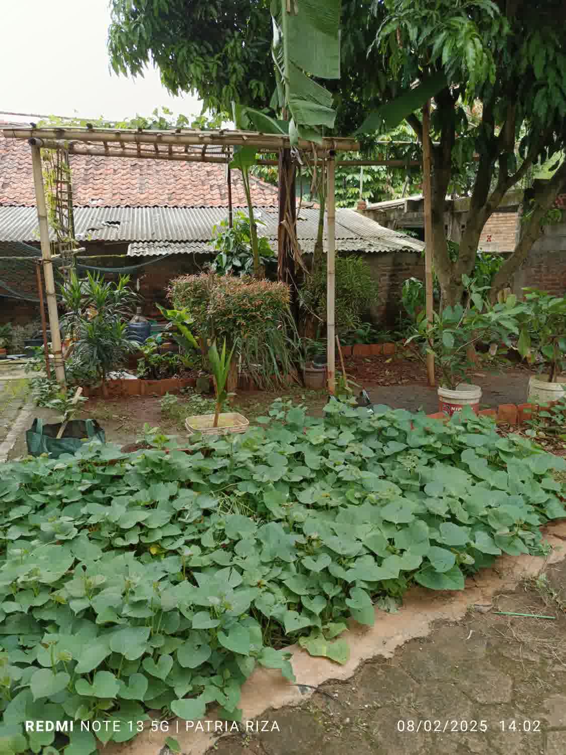 Ruang Terbuka Hijau